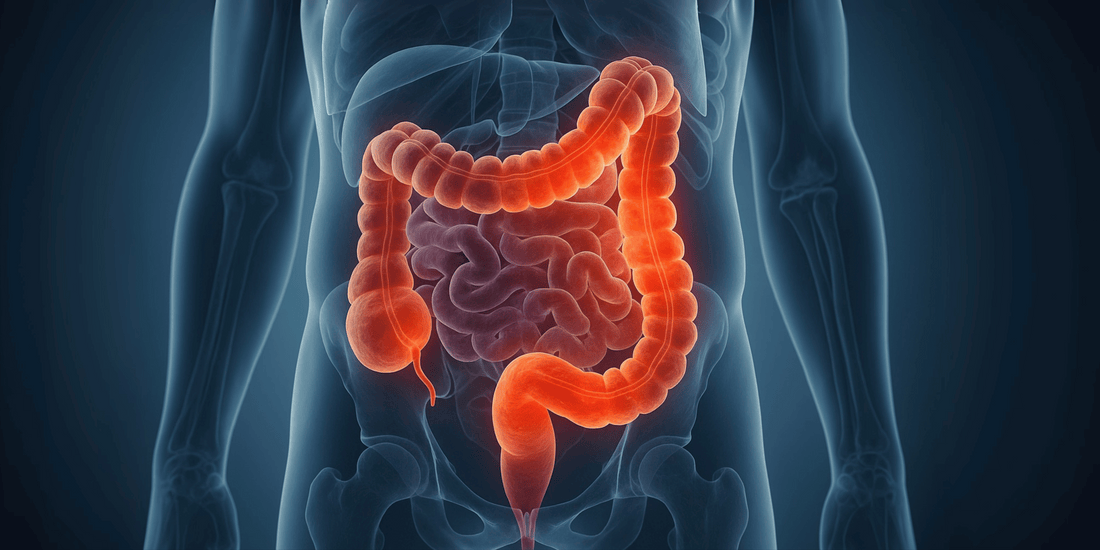 Boala Crohn: cum afectează absorbția nutrienților